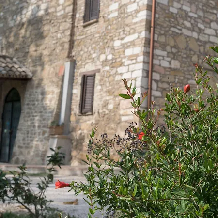 Bed & Breakfast Cantico Delle Creature 3*