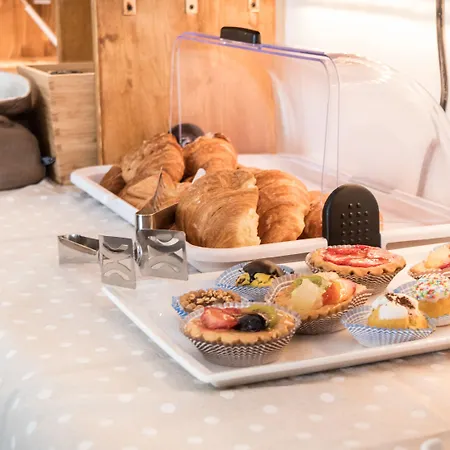 カンティコ デレ クリチャー アッシジ