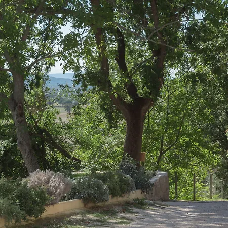 Cantico Delle Creature Bed & Breakfast