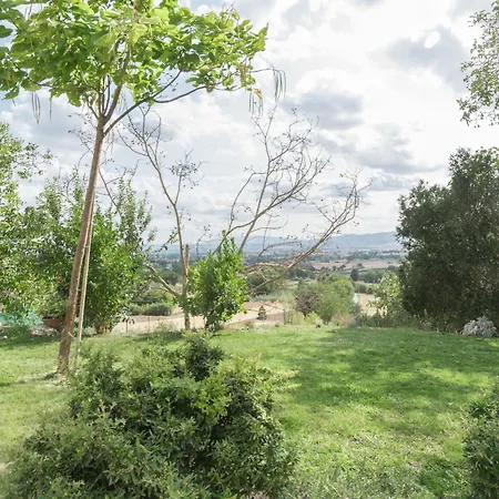 ベッド・アンド・ブレックファスト カンティコ デレ クリチャー アッシジ