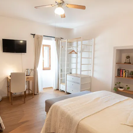 칸티코 델르 크리처 아시시