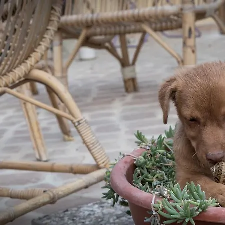 칸티코 델르 크리처 B&B 3*