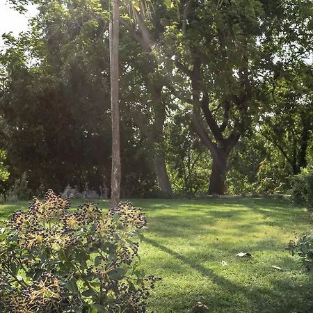 Cantico Delle Creature Bed & Breakfast Assisi