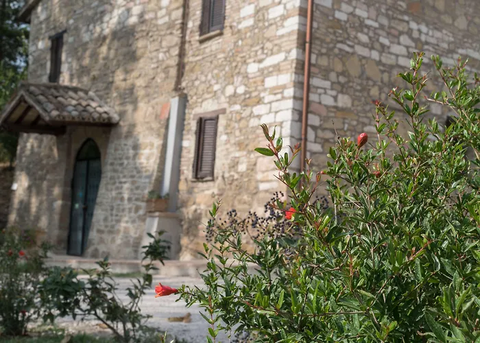 Alojamento de Acomodação e Pequeno-almoço Cantico Delle Creature 3*