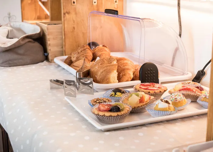 Cantico Delle Creature Assise