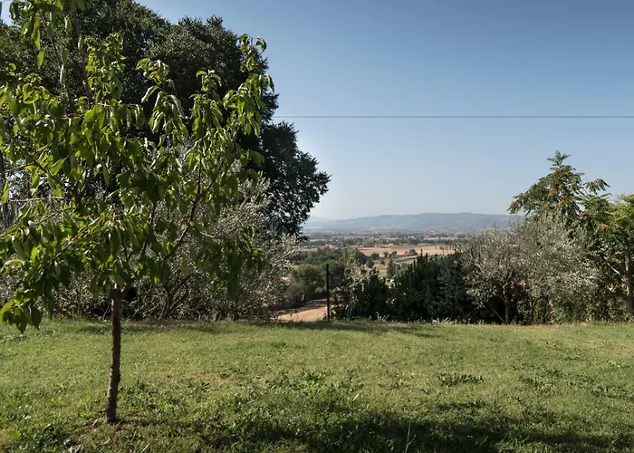 Cantico Delle Creature 3*