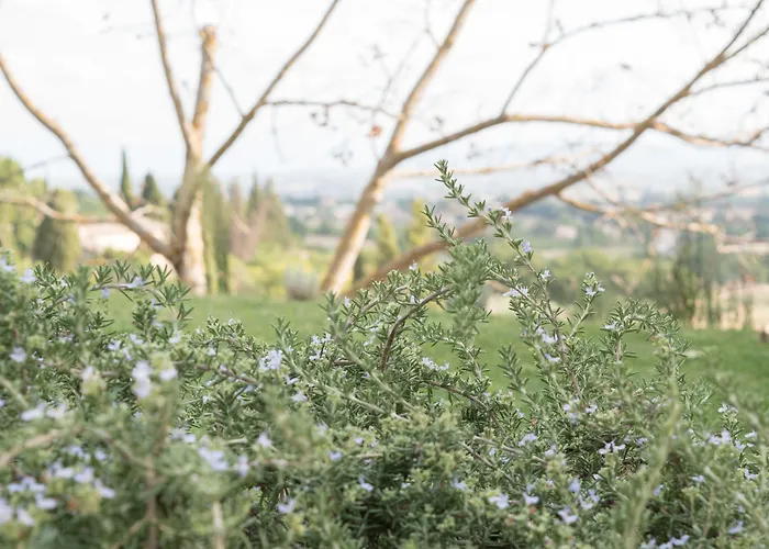 Cantico Delle Creature Alojamento de Acomodação e Pequeno-almoço 3*