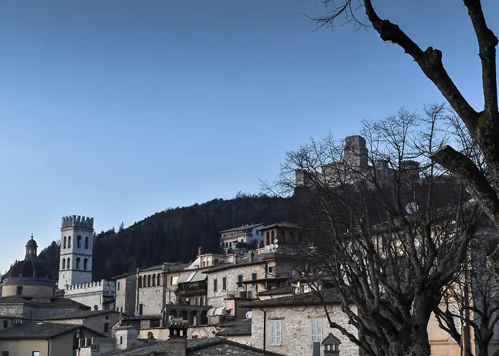 Couette-café Cantico Delle Creature