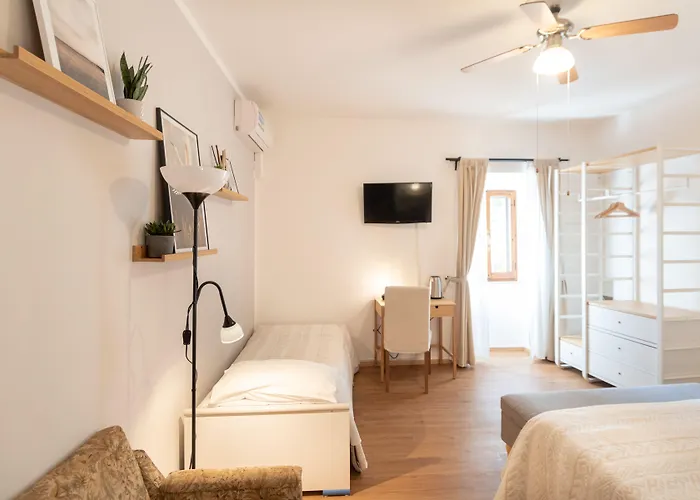 Cantico Delle Creature Assise