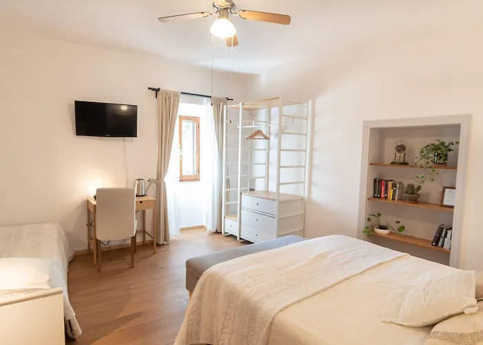 Cantico Delle Creature Assise