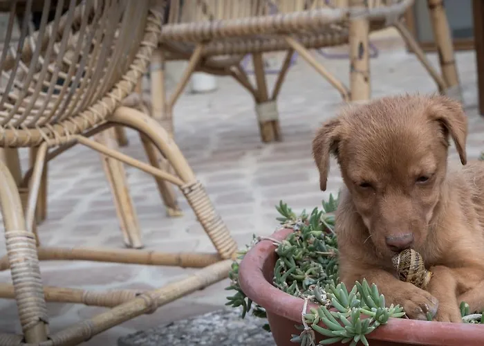 Cantico Delle Creature Couette-café 3*