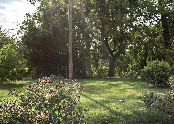 Cantico Delle Creature Couette-café Assise