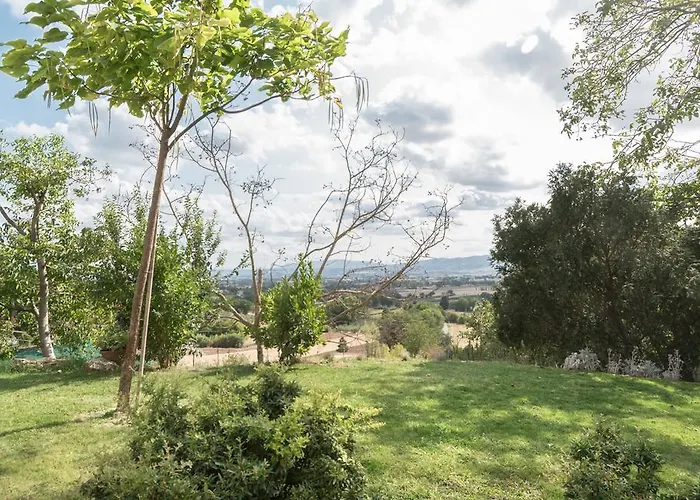 Cantico Delle Creature