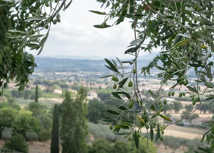 Cantico Delle Creature 3*